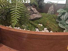 -糖糖屋•糖水•雪花冰店(时尚天河店)