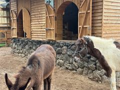 -HERRE·FARM 赫尔露营农场·团建聚会包场