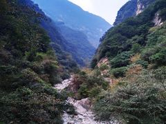 -陕西省红河谷森林公园