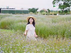 -嘉北郊野公园