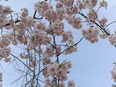 -堤角公园