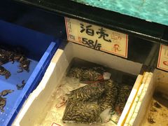 水产区-万山楼海鲜酒家·二十三年老字号