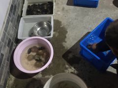 -阿杰臻选海鲜饭店(普陀山店)