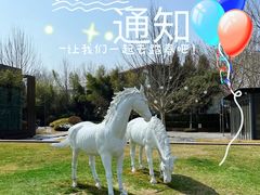 -春晖园度假酒店温泉