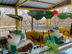 -朝阳公园游乐园