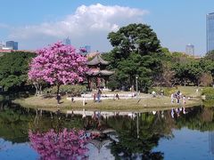 -四海公园(南山区)