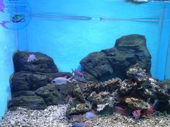 -横店影视城梦幻谷园区