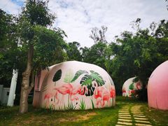 -漳州滨海火山岛自然生态风景区