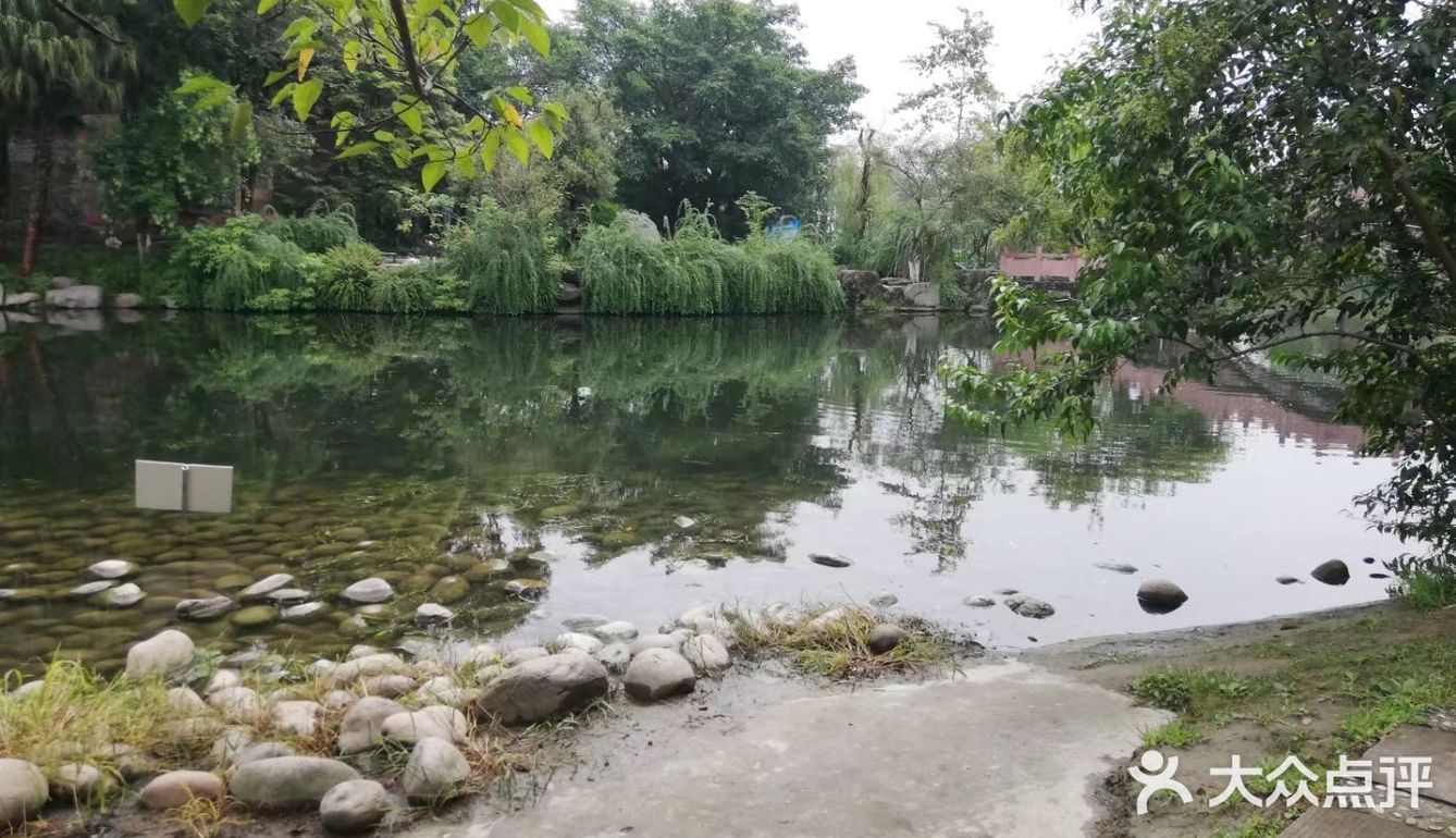 一个人在桂湖森林公园坐着发呆……