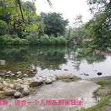 一个人在桂湖森林公园坐着发呆……