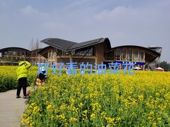 -中国天府农业博览园