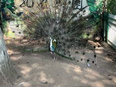 -荆州中山公园动物园