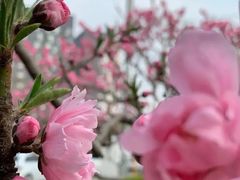 -西门子中国有限公司(阜通东大街店)