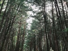 -北山公园