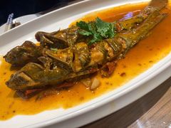 松花江牛尾巴鱼-胖姐渔村(中源大道店)