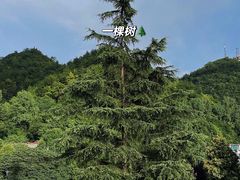 -贵阳市花溪国家城市湿地公园