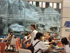 -帝企鹅自助餐厅•儿童岛•真企鹅(长隆企鹅酒店)