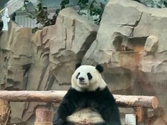 -青藏高原野生动物园