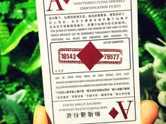 -爱丽丝冒险奇遇记
