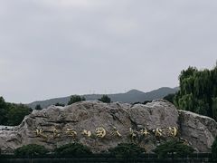 -北京西山国家森林公园