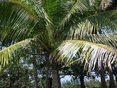 -白沙门生态公园