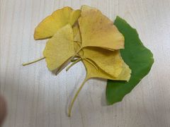 -龙华素斋(龙华路店)