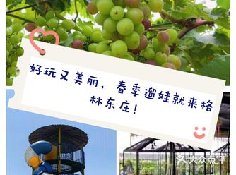 好玩又美丽️春季遛娃就来格林东庄！