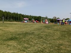 -黄海国家森林公园