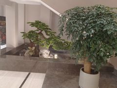 -帝皇海海鲜豆捞(桐泾商务广场店)