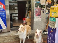 -豆舞咖啡(民乐路店)