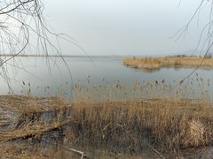 -野鸭湖国家湿地公园