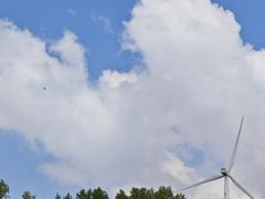 -御道口草原森林风景区
