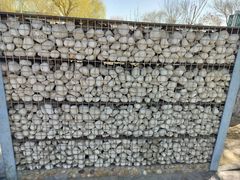 -天津金海湖
