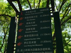 -罗红摄影艺术馆