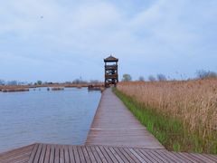 -盐城丹顶鹤湿地生态旅游区