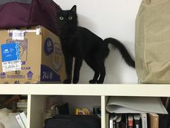 -金逸影城(广州海珠城激光IMAX店)
