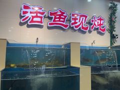 -屯老二农家铁锅炖·行业领军者(刘园店)