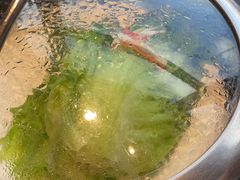 -海味当家·蒸锅海鲜(星海公园店)