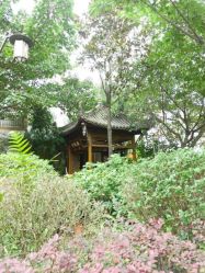 -莲生母婴月子中心(清水河公园店)