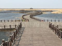 -南大港湿地风景区