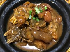 -全乐鱼馆·淳牌有机鱼直营店