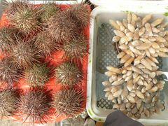 -澳门环岛游湾仔码头