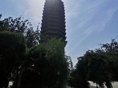 -西海子公园