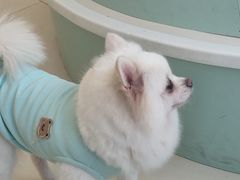 -怪兽屋·羊驼·猫咖·狗咖(俊华广场店)