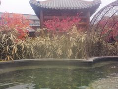 -中华郡温泉