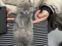 -心仪动物医院·牙专科·肿瘤·心脏科(西客站院)