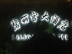 -碧丽宫大酒店(召稼楼店)