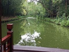 -同里国家湿地公园
