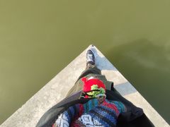 -金沙湖公园