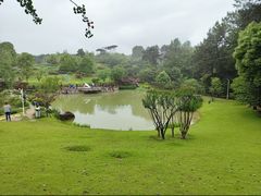 -铁山坪森林公园